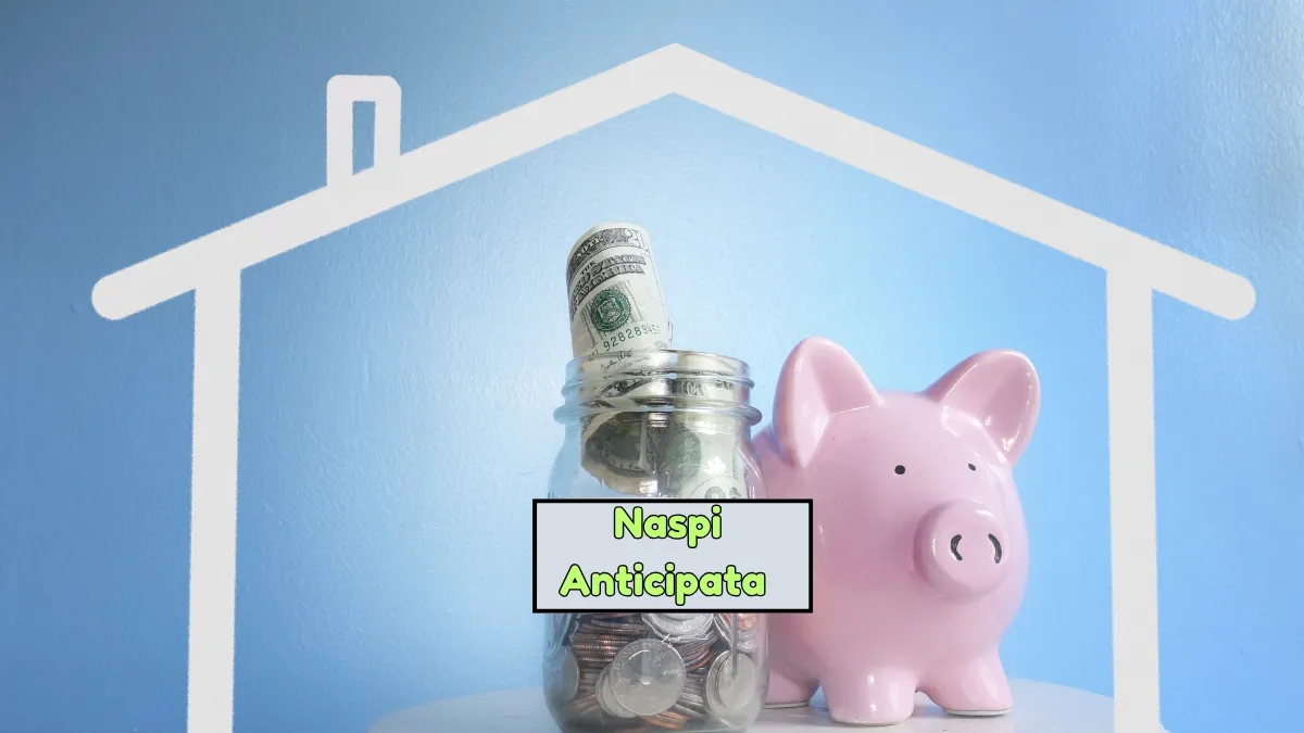 Naspi Anticipata